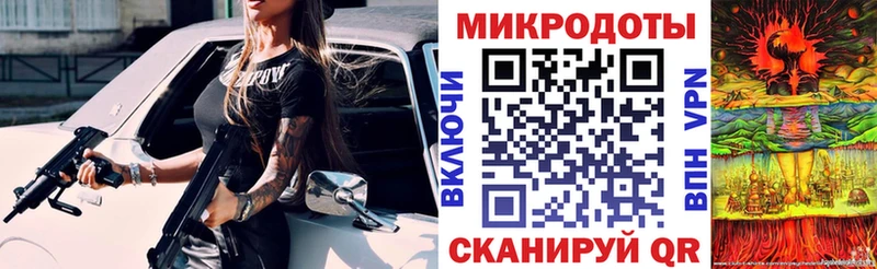 Псилоцибиновые грибы Psilocybe  Унеча 